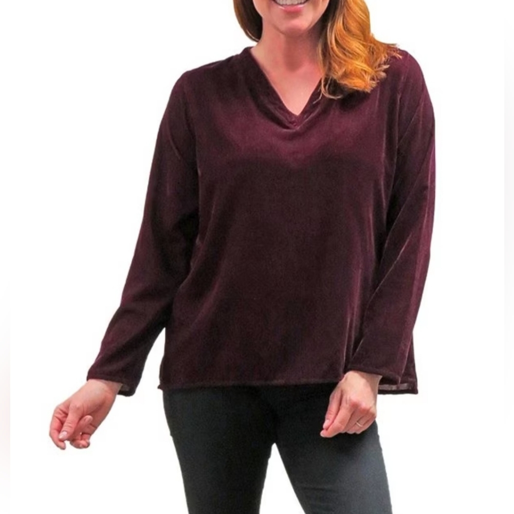 Karyn Seo Della V-Neck Long Sleeve Velvet Box Top